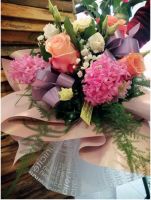 89087866_230050645056130_10